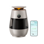 Load image into Gallery viewer, Color | Champagne Gold