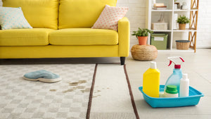 Carpet Cleaning Solutions: What to Use and How to Use It in 2025