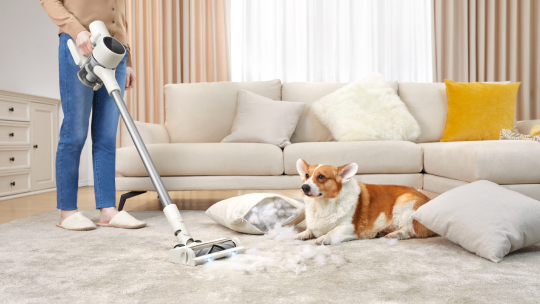 Amazon’s Best Budget Cordless Vacuum? Here’s Why Reviewers Love It