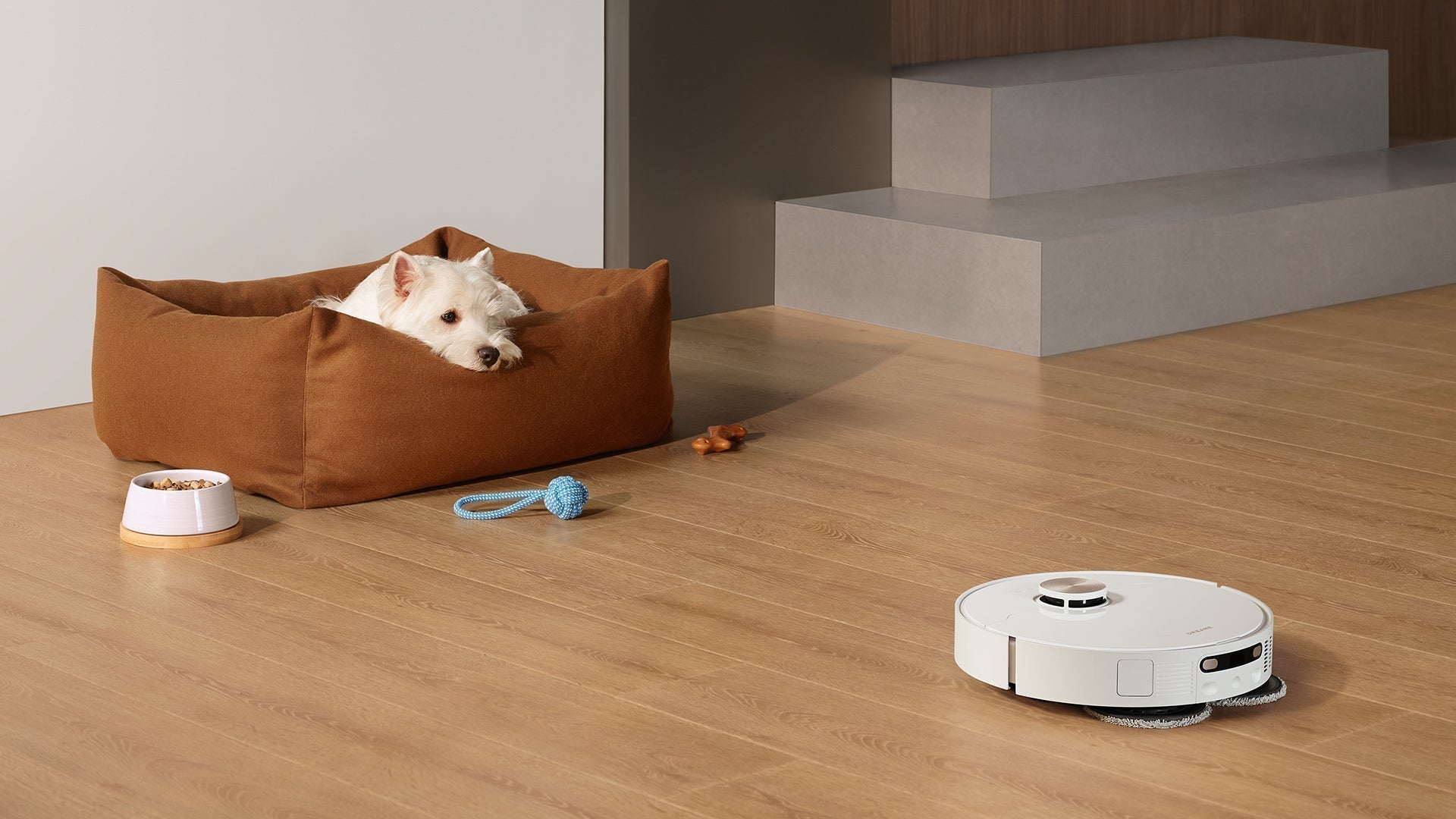 How to Turn Off a Robot Vacuum: All Devices & Brands