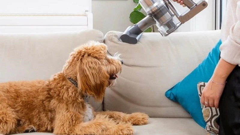 Transform Your Space: How to Deep Clean Your House—and Actually Enjoy the Results