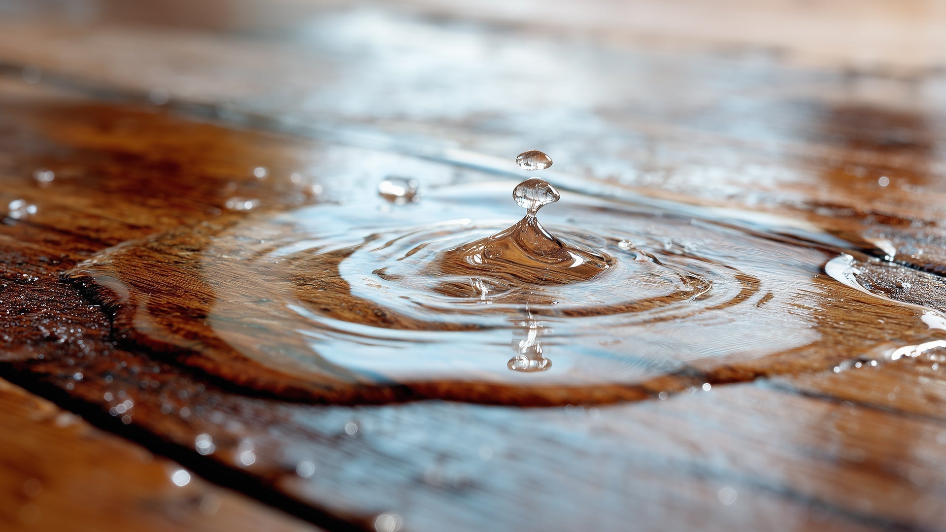 How to Use a Wet Dry Vac for Water — the Definitive Guide