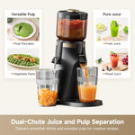 Load image into Gallery viewer, Dreame SJ30 Slow Juicer

