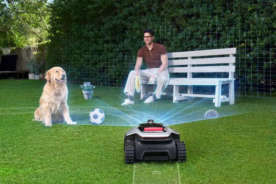 Dreame AI lawn mower recognizing a dog, a soccer ball, a hedgehog, and a person on a bench in a backyard
