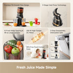Load image into Gallery viewer, Dreame SJ30 Slow Juicer
