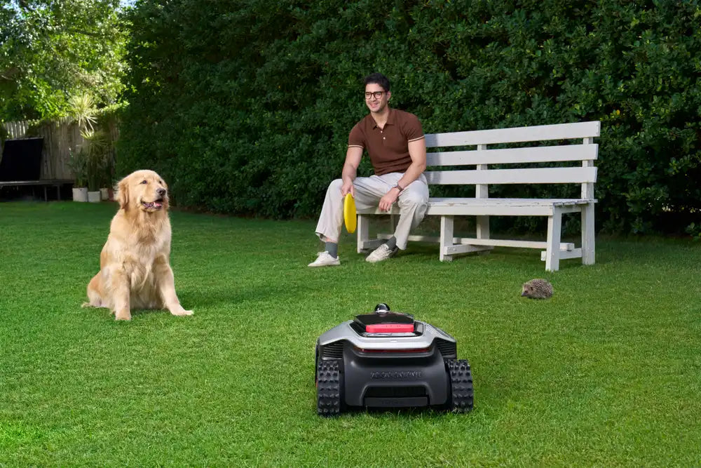 Auto lawn mower steering around a toy in the yard instead of running over it