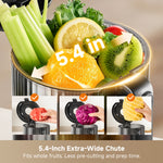 Load image into Gallery viewer, Dreame SJ60 Slow Juicer

