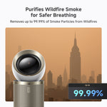 Load image into Gallery viewer, Dreame AirPursue PM10 Collection
