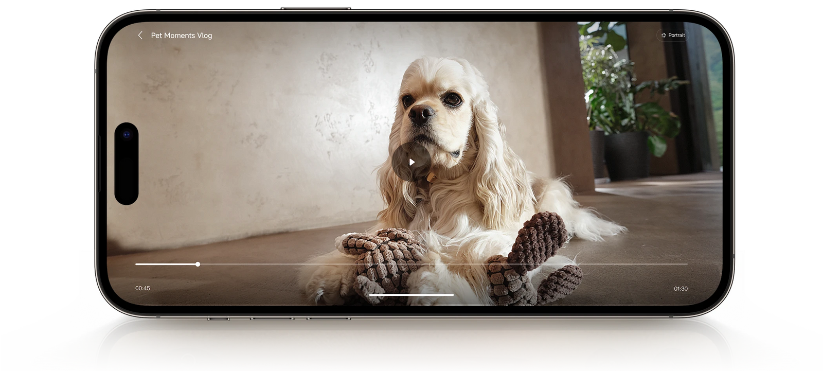Automatic Pet Vlog Generation