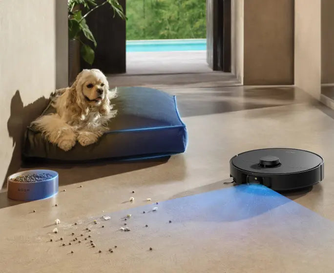 In-Depth Pet-Friendly Care
Embrace Your Pets Without the Cleaning Hassle