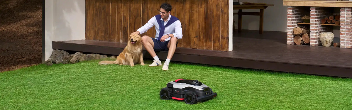 Dreame automatic grass cutter keeping the lawn trimmed neatly