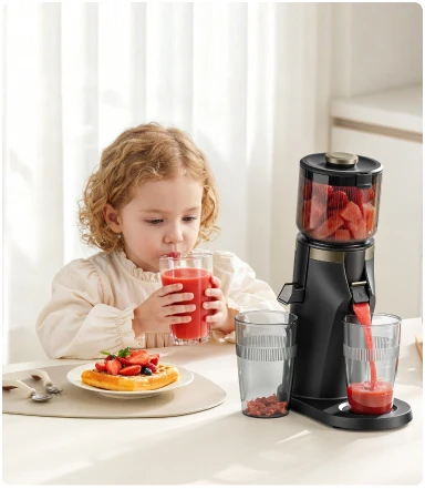 BPA-Free